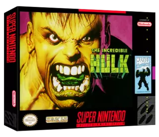 jeu Incredible Hulk, The